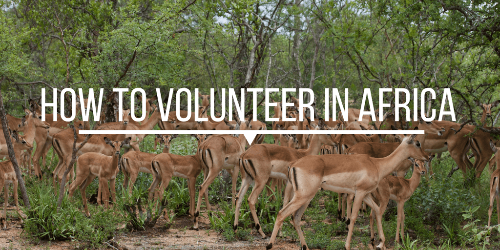 How to volunteer in Africa
