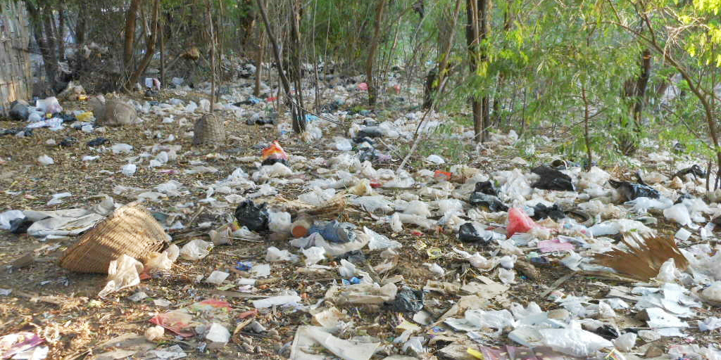 plastic bag pollution
