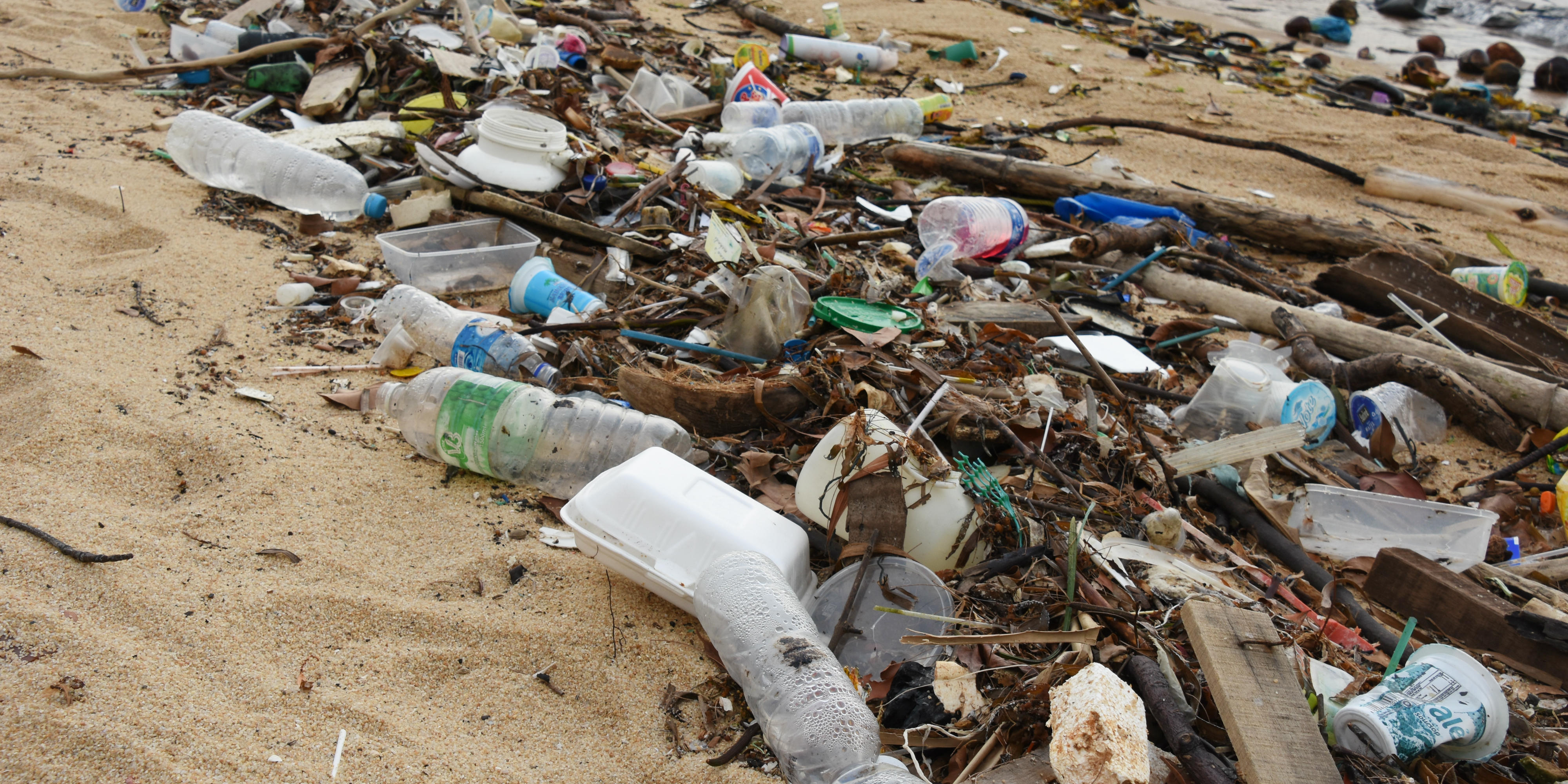 plastic pollution