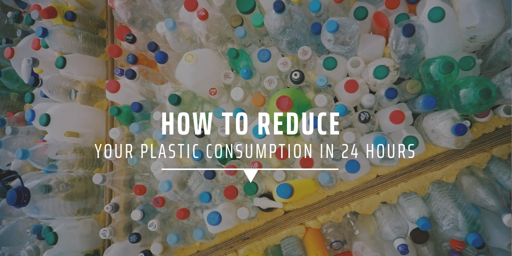 plastic pollution
