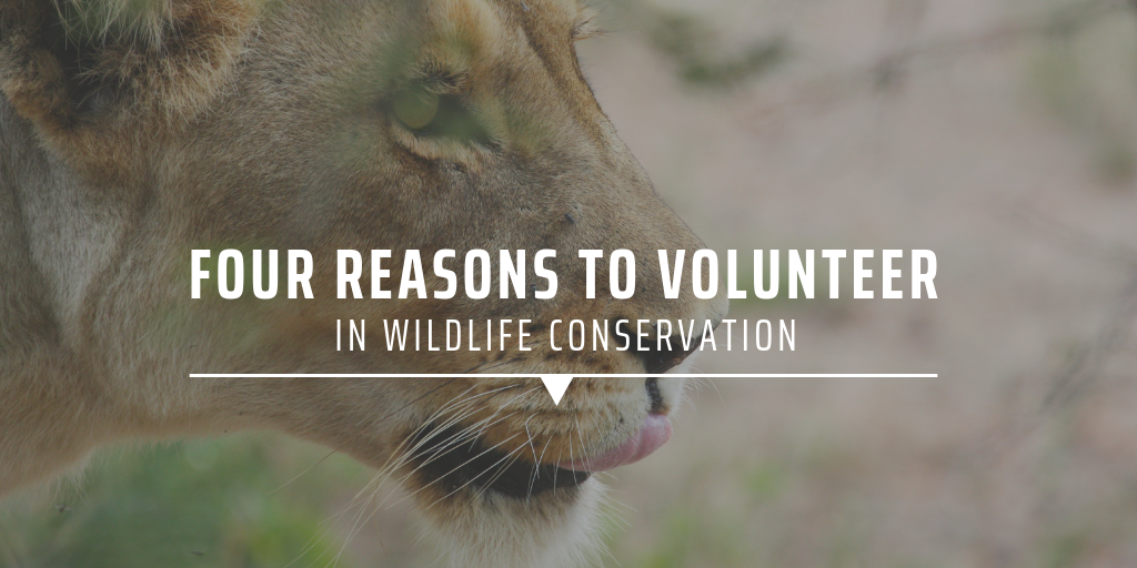 wildlife conservation