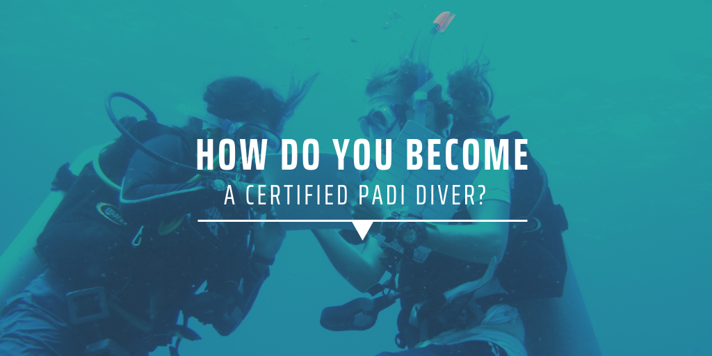 How do you become a certified PADI diver