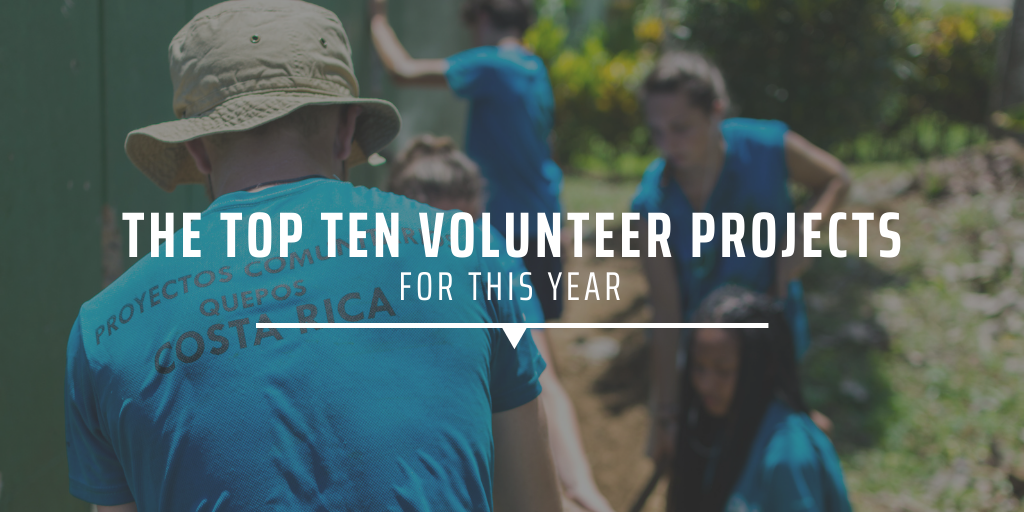 web development volunteer projects
