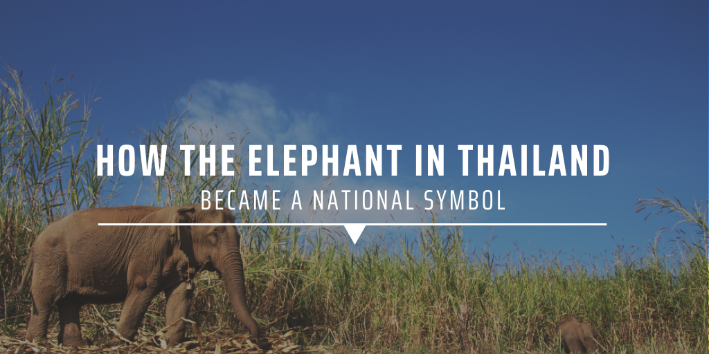 How the elephant in Thailand became a national symbol