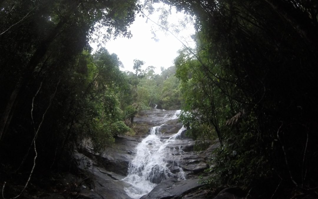 Chasing Waterfalls…