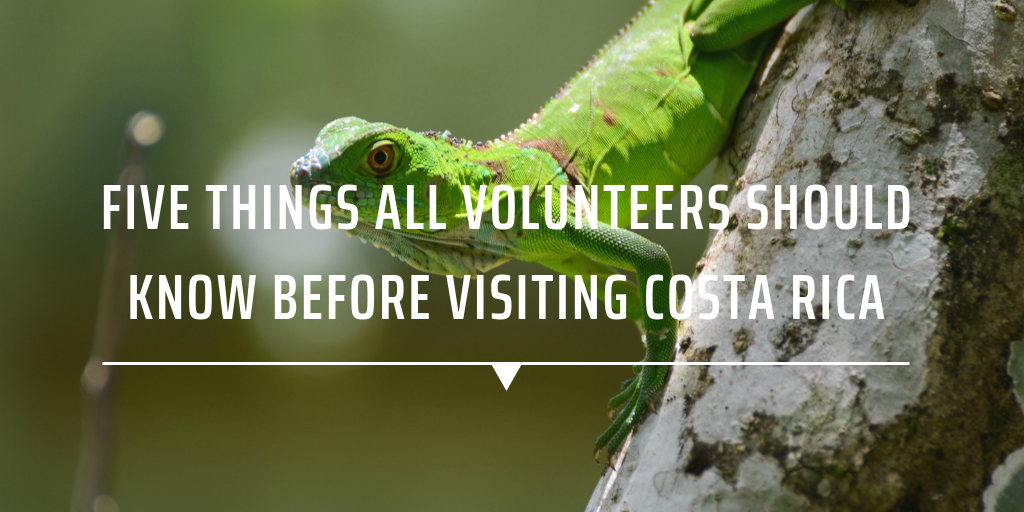 volunteer in costa rica