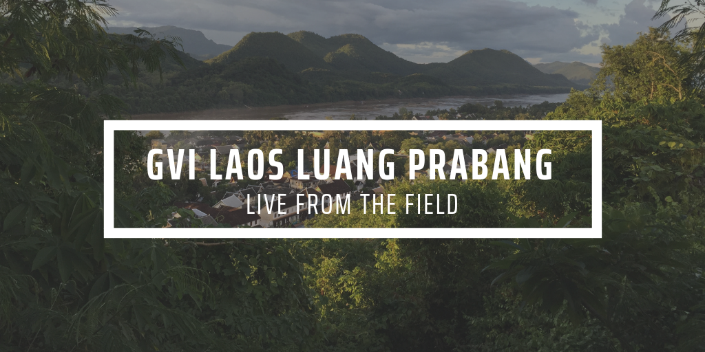 Highlights from Laos