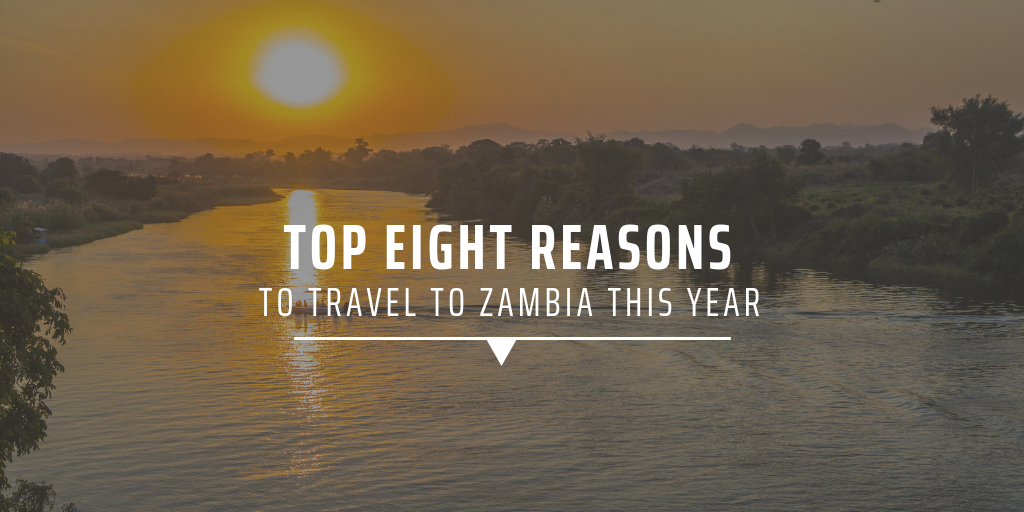 Top eight reasons to travel to Zambia this year