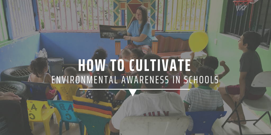 How to cultivate environmental awareness in schools