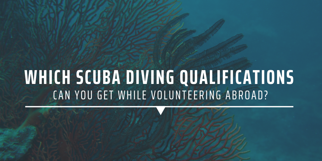 Which scuba diving qualifications can you get while volunteering abroad?