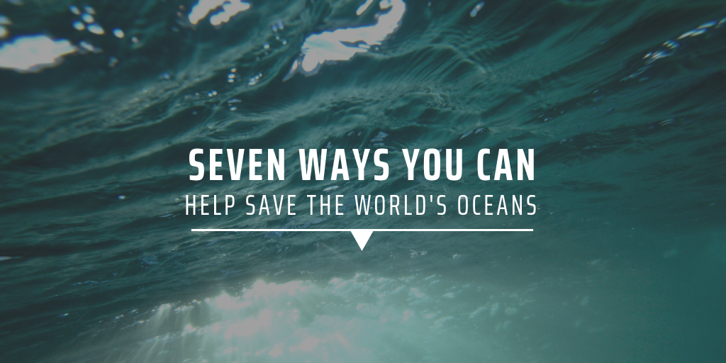 Seven ways you can help save the world’s oceans