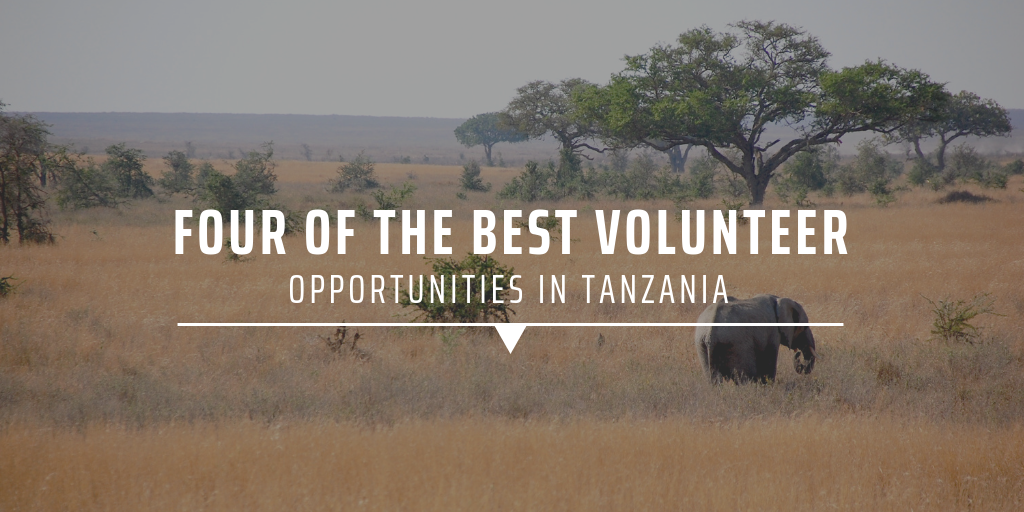 Four of the best volunteer opportunities in Tanzania