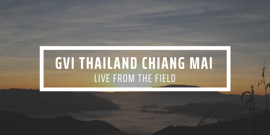 GVI Chiang Mai Update July 2019