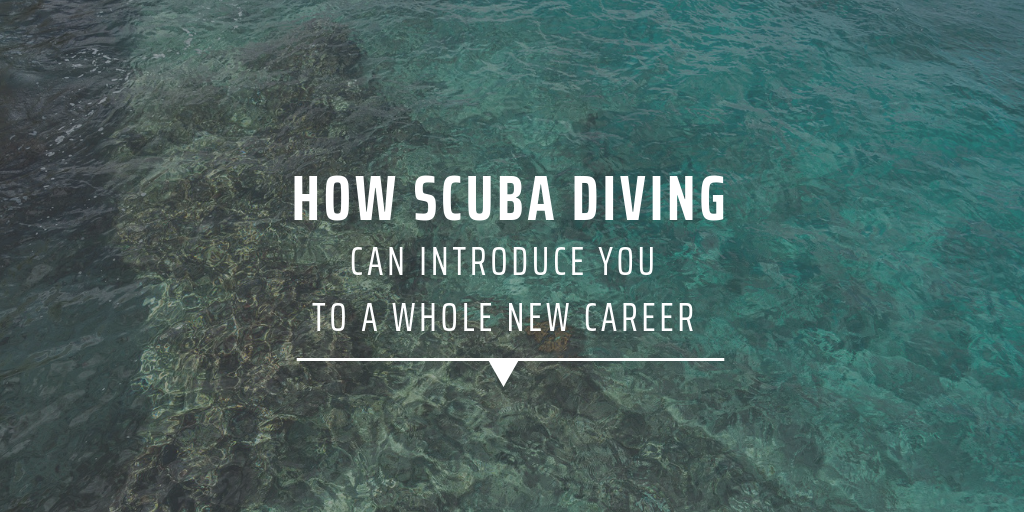 How scuba diving can introduce you to a whole new career