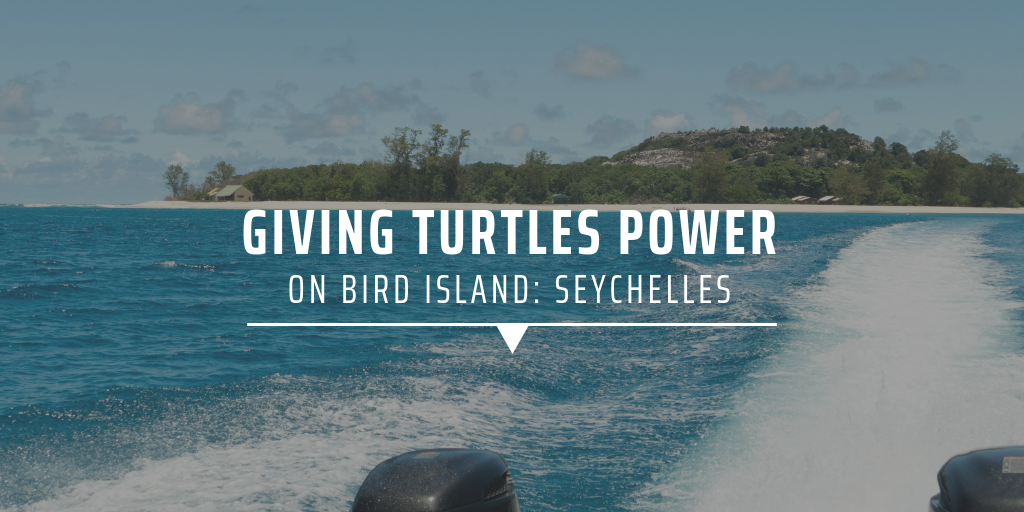 Giving turtles power on Bird Island: Seychelles