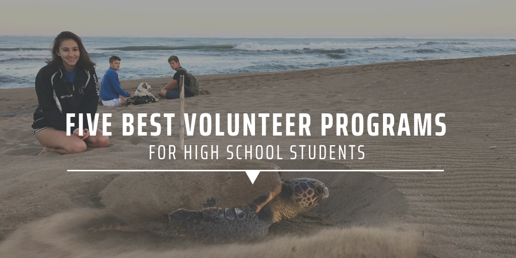 Five best volunteer programs for high school students