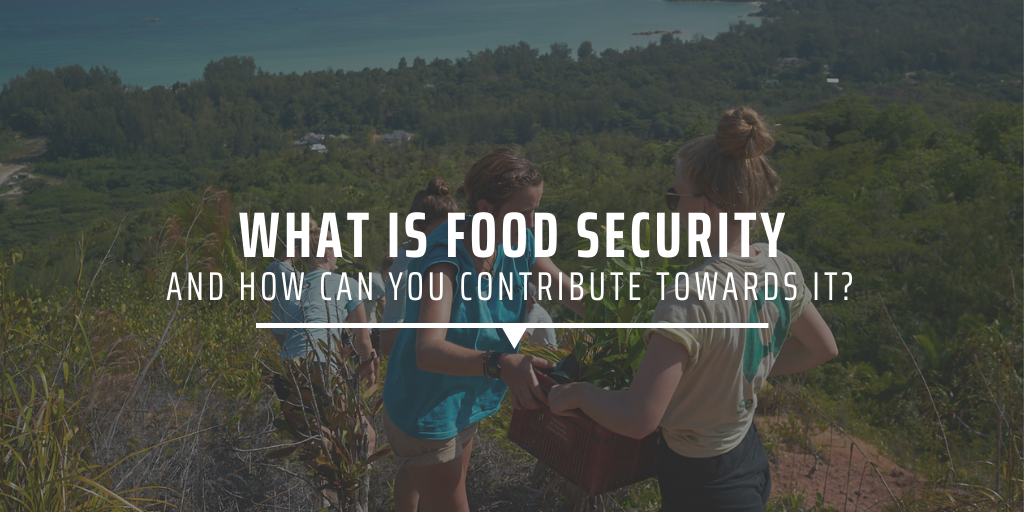 What is food security, and how can you contribute towards it?